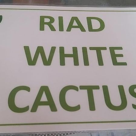 Riad White Cactus Marrakesh Eksteriør bilde